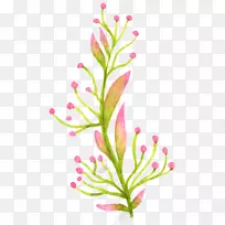 水彩画:花卉水彩画png图片水墨画图像果树图形-空若网 水彩画:花卉水彩画png图片水墨画图像果树图形-空若网