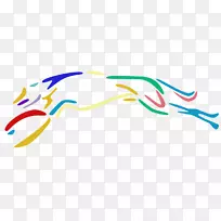 �ҹ��������ո���ֽ-������