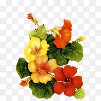 水彩画:花卉水彩画绘画-空若网 水彩画:花卉水彩画绘画-空若网