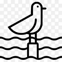 素食食谱巧克力蛋糕奶油海鸥图标-空若网 素食食谱巧克力蛋糕奶油海鸥图标-空若网