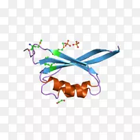 插图剪贴画有机体线身珠宝-ebi-空若网 插图剪贴画有机体线身珠宝-ebi-空若网