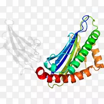 剪贴画有机体产品设计线-空若网 剪贴画有机体产品设计线-空若网