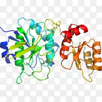 ��������Ʒ�л����߶���-������