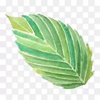 水彩画png图片图像叶-空若网 水彩画png图片图像叶-空若网