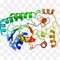 �������ߵ��Ʒ�л���-��ľ��ͼ-������