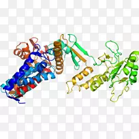 剪贴画有机体线身首饰-空若网 剪贴画有机体线身首饰-空若网