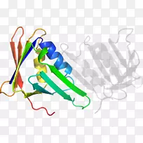 ��������ͼƽ����Ʋ�Ʒ���-������