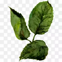 Ë®²Ê»pngͼƬͼÏñ»æÍ¼-¿ÕÈôÍø Ë®²Ê»pngͼƬͼÏñ»æÍ¼-¿ÕÈôÍø