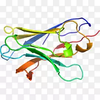 �����߼��������л���-USF-������