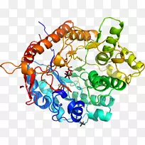 �������л����鱦������Ϣ-������