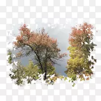 png图片桌面壁纸博客秋季LiveInternet-Orman象形文字-空若网 png图片桌面壁纸博客秋季LiveInternet-Orman象形文字-空若网