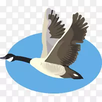 tÐôѼ·þŮʽ³ÄÉÀ-¿ÕÈôÍø tÐôѼ·þŮʽ³ÄÉÀ-¿ÕÈôÍø