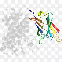 产品剪贴画线点有机体-覆膜-空若网 产品剪贴画线点有机体-覆膜-空若网