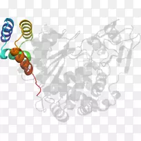 �����Ʒ��Ƽ�������Ʒ���.��Ĥ-������