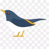 嘴夹艺术-空若网 嘴夹艺术-空若网