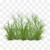 pngͼƬ�����ֽͼ�������ͼ�������Ĳ�-������