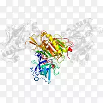 �������л�����-������˹��-������