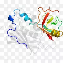 剪贴画线点有机体-aavp 7 a1-空若网 剪贴画线点有机体-aavp 7 a1-空若网