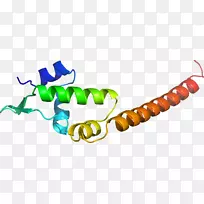 ��������Ʒ�л����߶���-������