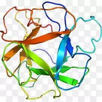 剪贴画产品设计植物茎线-空若网 剪贴画产品设计植物茎线-空若网