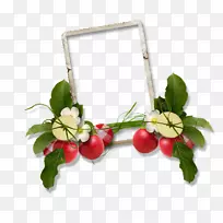 图像png图片绘制adobe Photoshop摄影.绘画-空若网 图像png图片绘制adobe Photoshop摄影.绘画-空若网