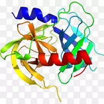 ��������Ʒֲ�ﾥ�߶���-������