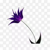 花卉剪贴画-热带花卉-空若网 花卉剪贴画-热带花卉-空若网