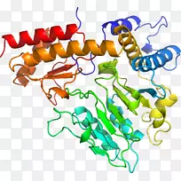 剪贴画有机体线动物短信-空若网 剪贴画有机体线动物短信-空若网