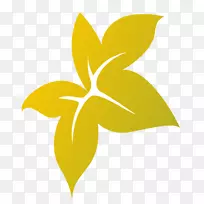 ˮ��������ֲ�ﾥҶ����ֲ��-������