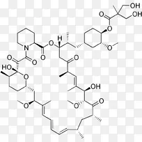 常春藤mTOR抑制剂-空若网 常春藤mTOR抑制剂-空若网