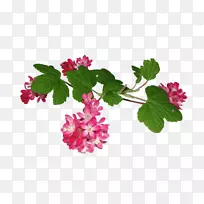 剪贴画png图片Liana gif中心博客-丽安娜泡泡-空若网 剪贴画png图片Liana gif中心博客-丽安娜泡泡-空若网