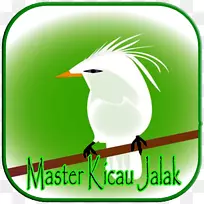 剪贴画喙标志品牌android-jalak umum-空若网 剪贴画喙标志品牌android-jalak umum-空若网