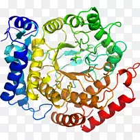 剪贴画有机体线身首饰-空若网 剪贴画有机体线身首饰-空若网