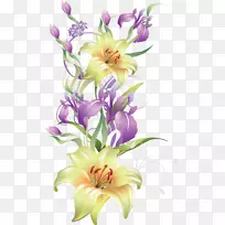 花束剪贴画-花卉-空若网 花束剪贴画-花卉-空若网