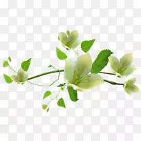 png图片剪辑艺术PSD中心博客封装PostScript-Jasminum Pennant-空若网 png图片剪辑艺术PSD中心博客封装PostScript-Jasminum Pennant-空若网