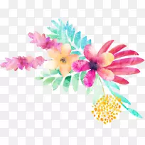 ˮ�ʻ�����ˮ�ʻ�-������