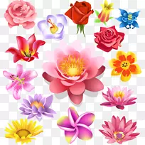 ����һƷ�죬��Ӱ����˰-���-����-������