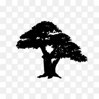 字体剪影叶植物开花植物-空若网 字体剪影叶植物开花植物-空若网