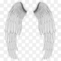 png图片剪辑艺术图像图形水牛翼哥特电子商务-空若网 png图片剪辑艺术图像图形水牛翼哥特电子商务-空若网