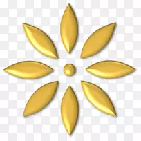 ��ɫ�������Գƽ���Ʒ.��ť��-������