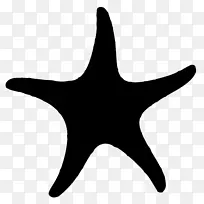 ���Ǽ�Ƥ�����ߵ������-������