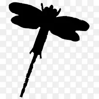 ���������������������-������