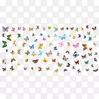 �廭�������ߵ��Ʒ-��������װ��Ʒ-������