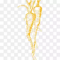 ͼ�μ������߲�ŷ�޼�����png����ͼ�߲�-������