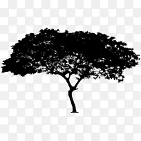 长城DNA科学公司博客-空若网 长城DNA科学公司博客-空若网