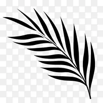 叶型植物茎线开花植物-空若网 叶型植物茎线开花植物-空若网