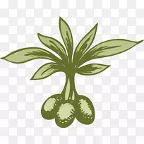 叶开花植物茎秆设计要素-空若网 叶开花植物茎秆设计要素-空若网