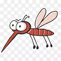 蚊虫瘙痒,蚊虫叮咬和叮咬-蚊子-空若网 蚊虫瘙痒,蚊虫叮咬和叮咬-蚊子-空若网