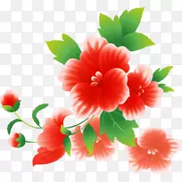 插花艺术-花卉-空若网 插花艺术-花卉-空若网