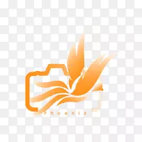 �ձ���������������ֽ��Ʒ���-�߼�ͼ��-������